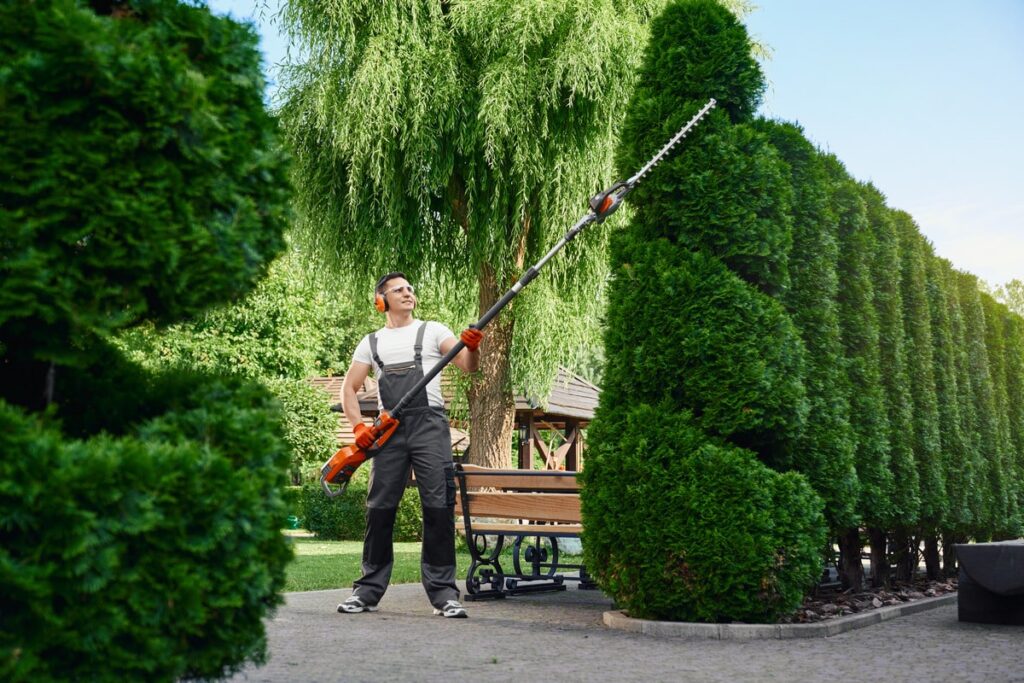 Gartenpflege in Attendorn – Heckenschnitt & Unkrautentfernung vom Experten